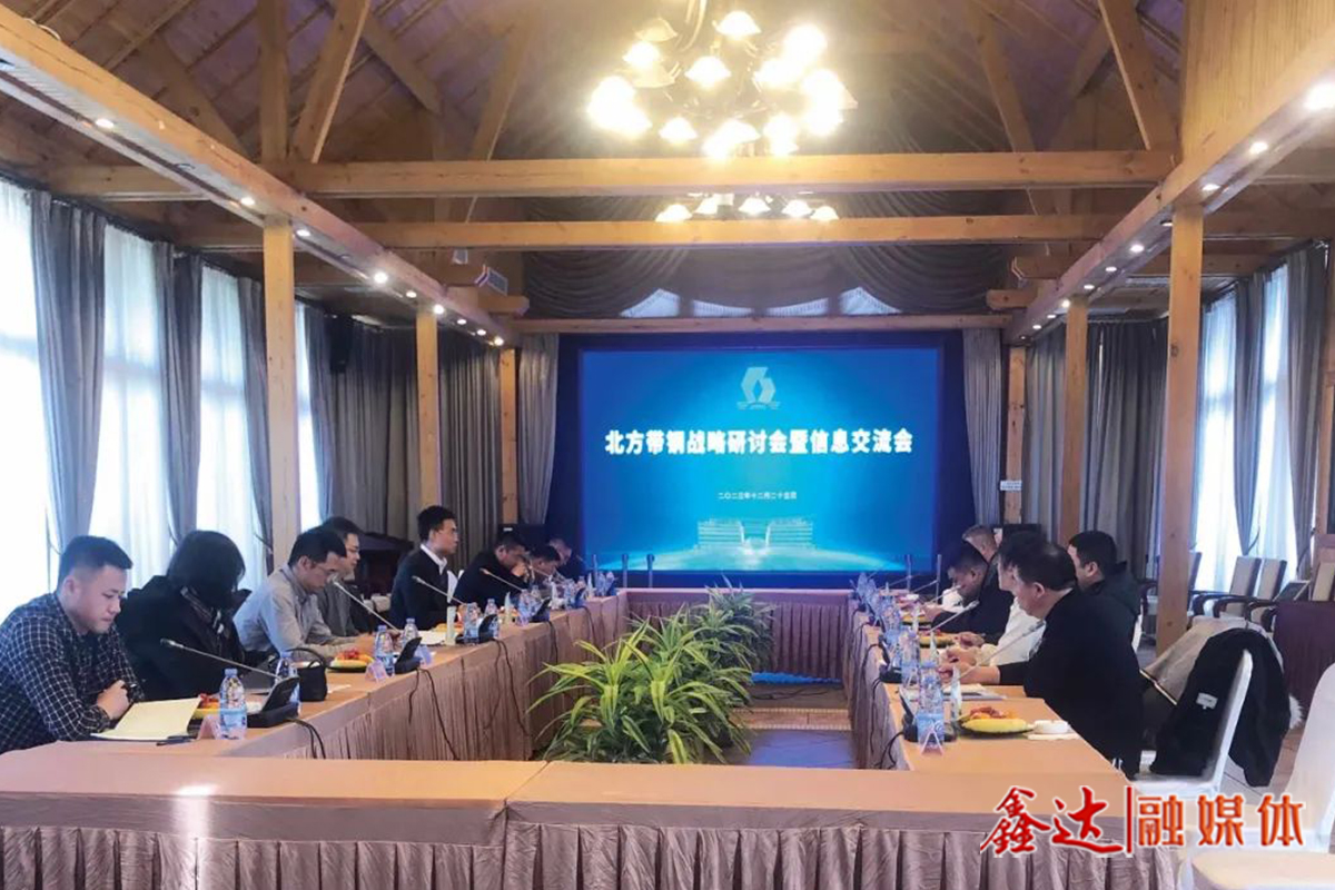 North China Strip Steel Strategy Seminar and Information Exchange Conference - Successfully Convened at Nanhu Station