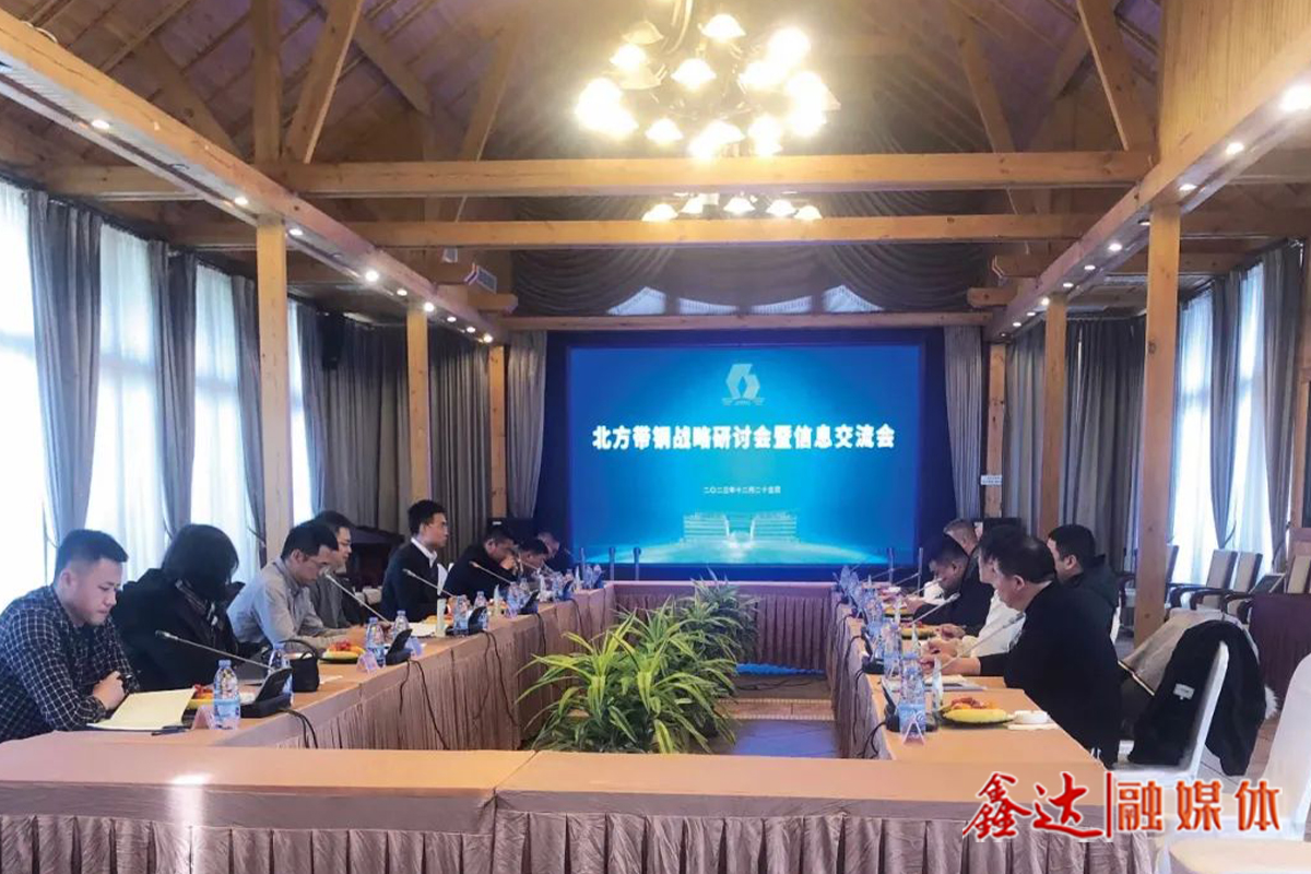 North China Strip steel strategy seminar and information exchange meeting - Nanhu Station successfully held